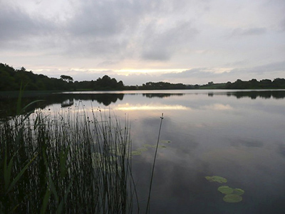 Lake at East Clare