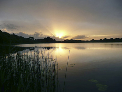 Sunset whilst cycling