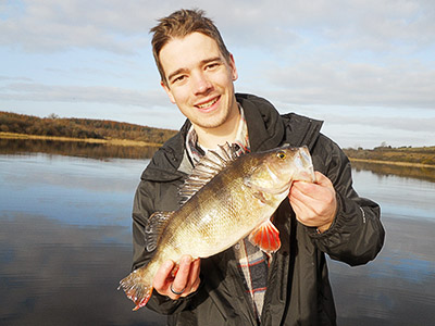 perch