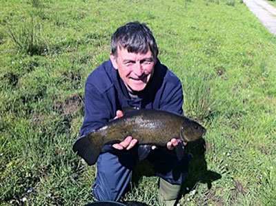 Tench