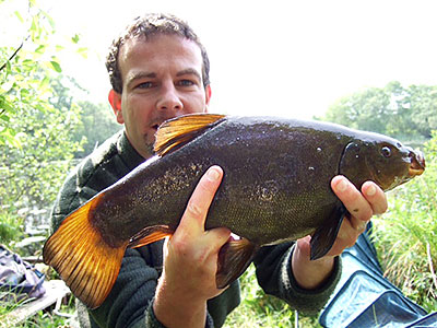Tench