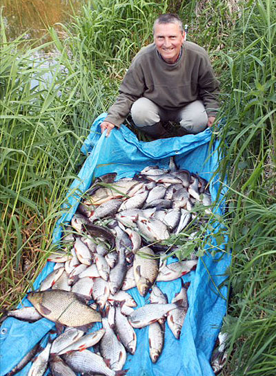 Bag of Fish