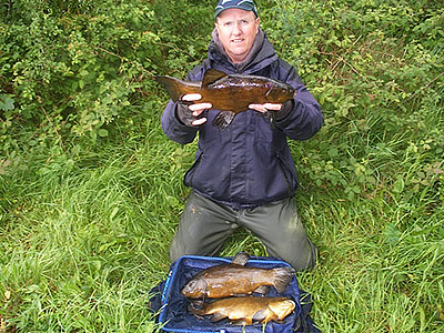 Tench